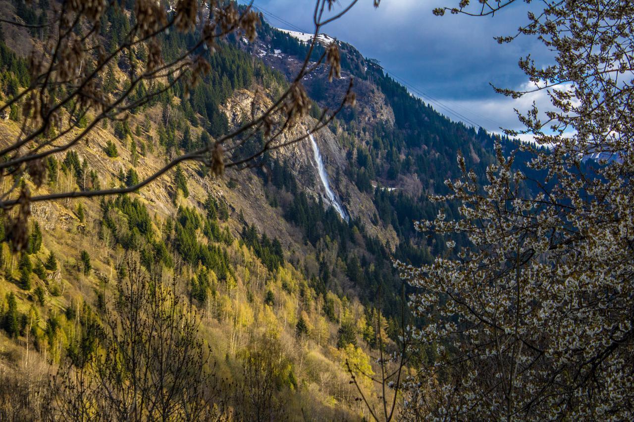 Chalet Rostaing Вожани Экстерьер фото